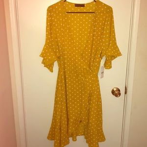 FTF Wrap Polka Dot Dress 2X